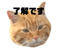 772759369