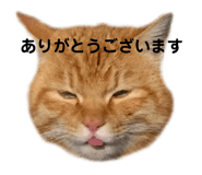 772759371