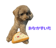 772759466