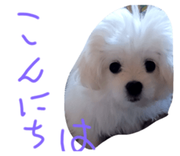 772760045