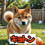 772763962