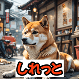 772763977