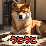 772763981
