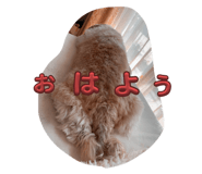 772764676