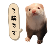 772765053