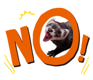 772765055