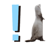 772765064