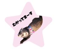 772765065