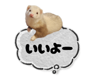 772765066