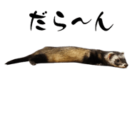 772765071