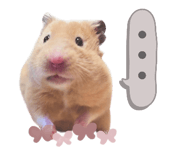 772765076