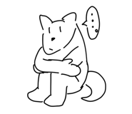 772765807
