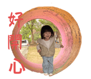 772766580