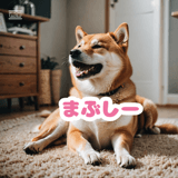 772768899