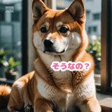 772768901