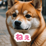 772768914