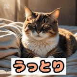 772772911