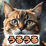 772772916
