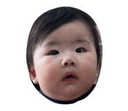 772773845