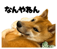 772782770