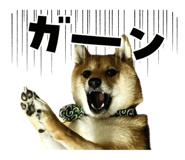 772782778