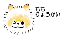 77278663