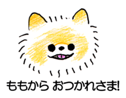 77278666
