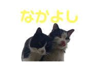 772790377