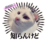 772792197