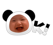 772803988