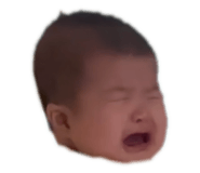 772803990