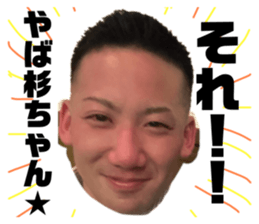 772806229