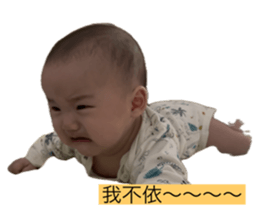 772813530