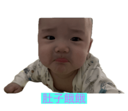 772813532