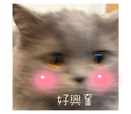 772813548