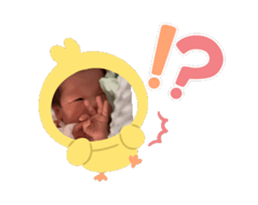 772825235