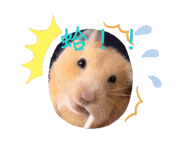 772825562