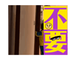 772829651