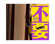 772829651