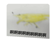 772829959
