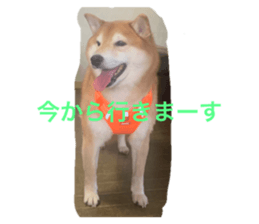 772830266