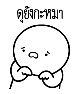 ลายที่ 13