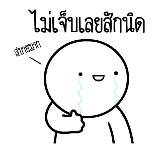 ลายที่ 33