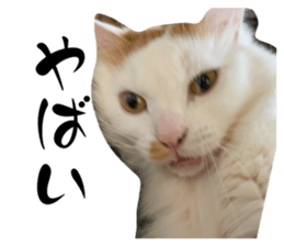 772837680