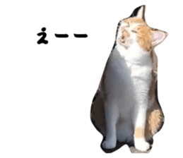 772837695