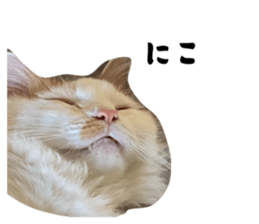 772837696