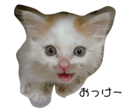 772837917