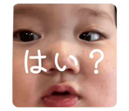 772838017