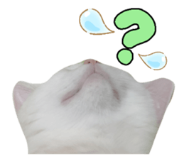 772839669