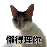 772841605